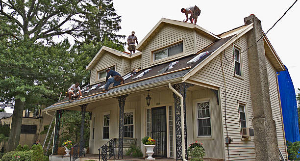 Roof Gutter Cleaning in Oakland, OR